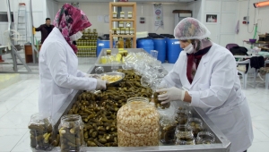 KOP Desteği ile Yöresel Ürünler Markalaşıyor…