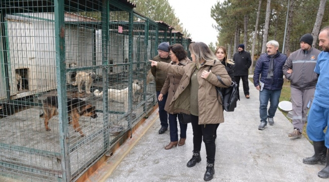 Çorum'u örnek aldılar, Sungurlu'ya kuracaklar