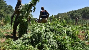 Jandarmadan uyuşturucu operasyonu