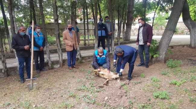 Cuma namazına kavuşunca kurban kesip dua ettiler