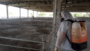 Kırıkkale hayvan pazarı yeniden hizmete girdi