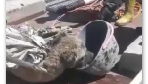 İtfaiyecilerin ilk işi kurtardıkları köpeğe su vermek oldu