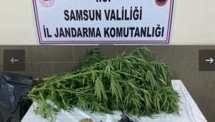 12 olayda 15 şüpheli şahıs gözaltına alındı