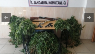 Jandarmadan uyuşturucu operasyonu