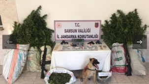 Jandarmadan uyuşturucu operasyonu