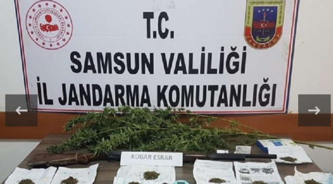 Yedi ilçede uyuşturucu operasyonu