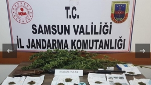 Yedi ilçede uyuşturucu operasyonu