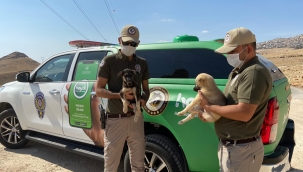 HAYDİ görevlileri sahalarda