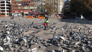 Sevimli dostlara şefkat eli uzandı