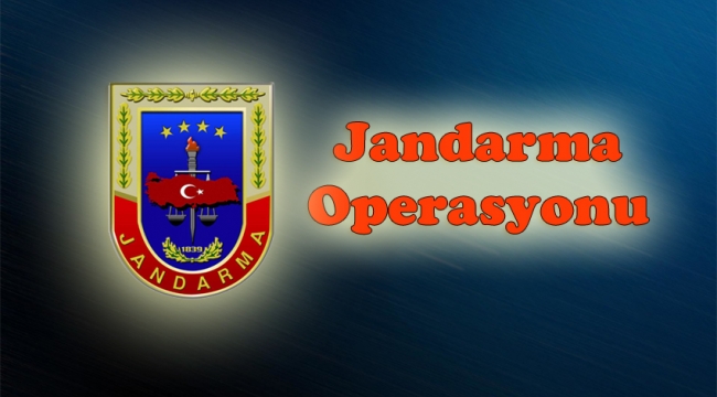 Jandarma düzenlediği operasyonda 14 şüpheliyi yakaladı