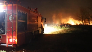 Samsun'da orman yangınları…!