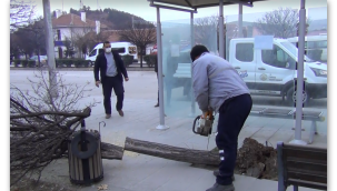 Şiddetli rüzgar hayatı olumsuz etkileyerek ağaçları devirdi