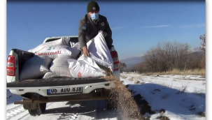 Yaban hayvanları için doğaya yem bırakıldı