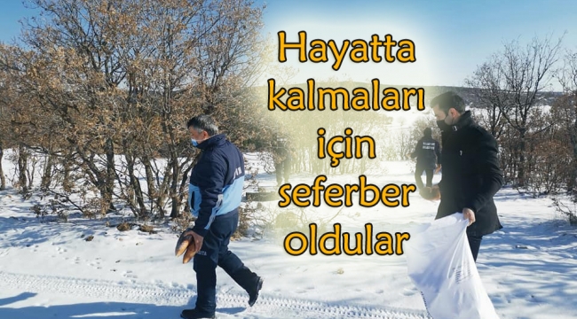 Yaban hayvanlarına yem bırakıldı