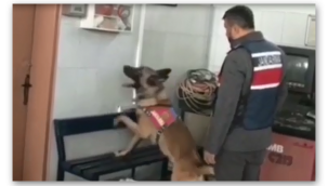 Operasyon anı.. 30 bin litre