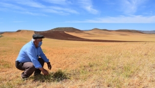 Vali Sezer, "Henüz bir kuraklık hasarı tespit edilmemiştir"