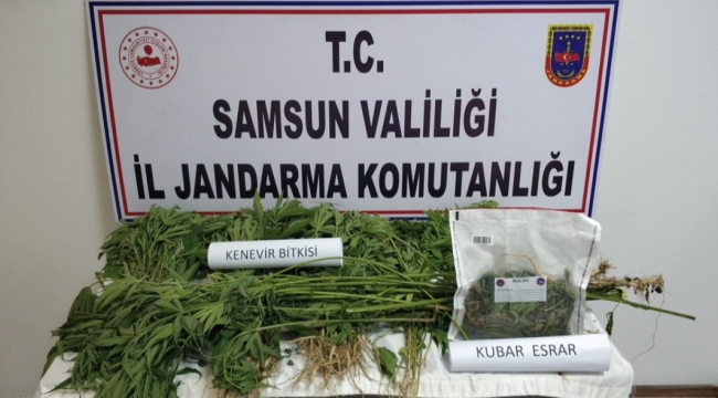 Jandarmadan uyuşturucu operasyonu 22 gözaltı