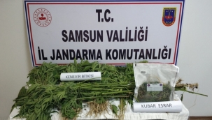 Jandarmadan uyuşturucu operasyonu 22 gözaltı