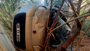 Ağaçta asılı kalan araçtaki 5 kişi ölümden döndü