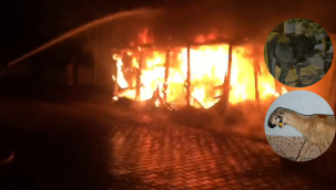 Alev topuna dönen aracın yakınındaki kurbanlıklar son anda kurtarıldı