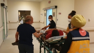 Yedikleri mantardan zehirlenen 8 kişi hastanelik oldu