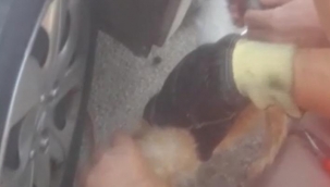 Çamurluğa sıkışan yavru kedi kurtarıldı