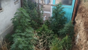 Jandarma takibe aldığı çiftçiyi suç üstü yakaladı