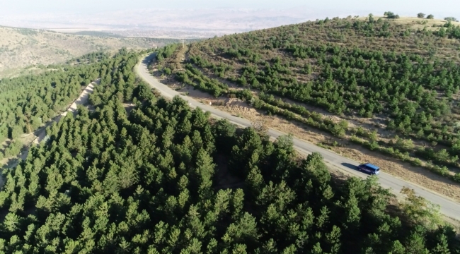 Kırıkkale'de ormanlar dron ve maket uçakla denetleniyor