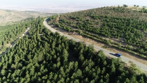 Kırıkkale'de ormanlar dron ve maket uçakla denetleniyor