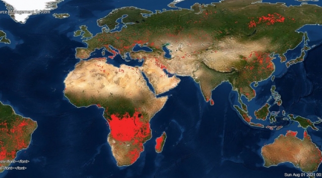 NASA dünyadaki yangınları görüntüledi