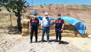 Saman hırsızı Çankırı'da yakalandı