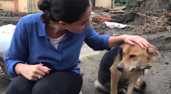 Şefkat eli uzansa da anne köpeğin acısı dinmedi