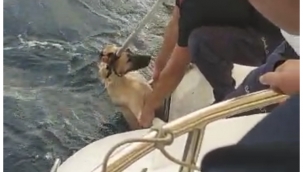 Alevlerden kaçınca kendini denize attı