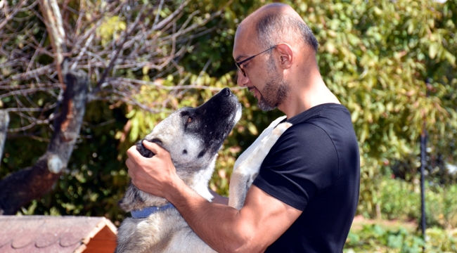 Hayvansever doktor, sahiplendiği hayvanları tedavi ediyor