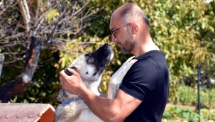 Hayvansever doktor, sahiplendiği hayvanları tedavi ediyor