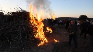 Binlerce kişi ormanda buluştu