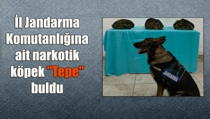 Yolcu otobüsünde taşınıyordu