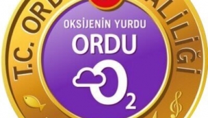 Sürücünün belgesi daimi olarak iptal edildi 