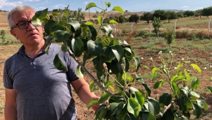Bahçesinde görünce şaşırdı kaldı