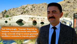 Selçuklu yadigarı Çeşnigir Köprüsü yüzyıllardır tarihe ışık tutuyor