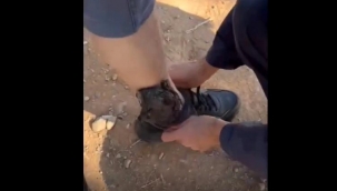 Jandarma çorapların içinde buldu