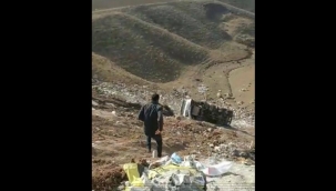 Metrelerce yükseklikteki uçuruma düştü