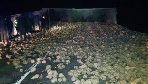 Yola devrilen tır ulaşımı durdurdu