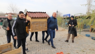 Bir çivi de sen çak, bir yuva da sen yap etkinliği