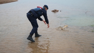 Jandarma ağdan kurtarıp tekrar suya bıraktı