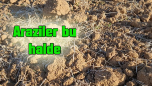 Hiç böyle olmamıştı, bu yıl daha fazla