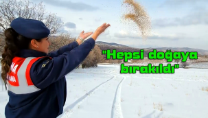 Yaban hayvanları için doğaya yem bırakıldı