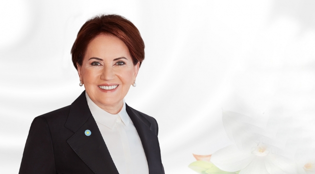 Son Dakika..!Akşener'e yeni bir çağrı geldi