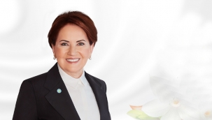 Son Dakika..!Akşener'e yeni bir çağrı geldi