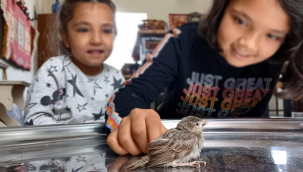 Minik kalplerden sıcacık duygular